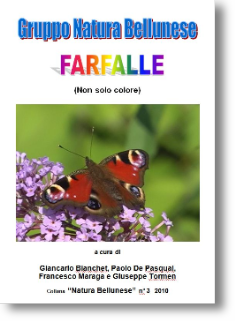 Libretto Farfalle